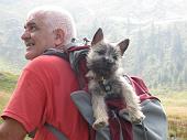 1 il più furbo (il cane)